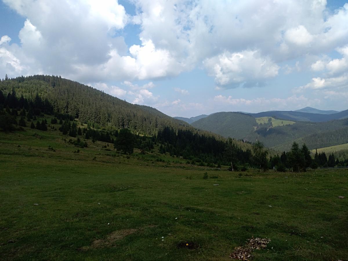 Котедж "Барвінок" Verchovyna Exteriér fotografie